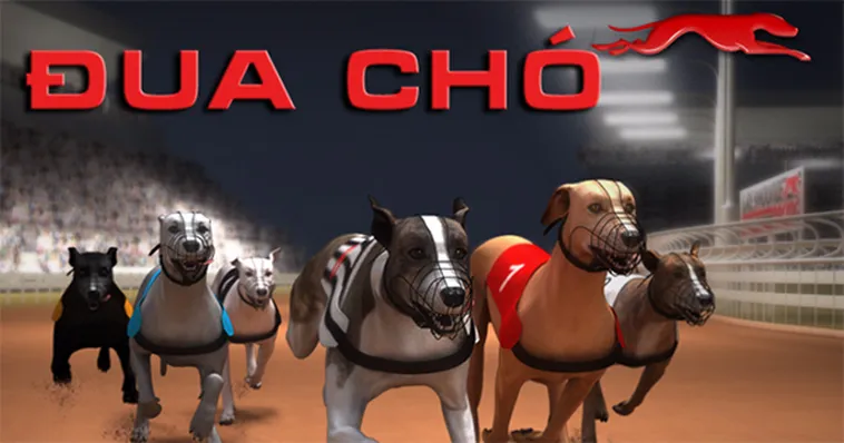 Cách Chơi Game Nhanh Đua Chó 789Club Tối Ưu Cược Và Tăng Tỷ Lệ Thắng